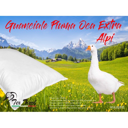 OREILLER en DUVET d'OIE TEX TIROL © ALPES fabriqué en Italie