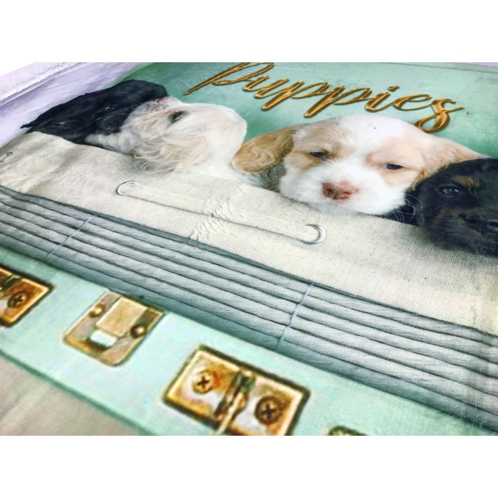 MANTA POLAR A CUADROS SHERPA FOTOGRAFÍA DIGITAL PERROS EN MALETA CON ALMOHADA Decor