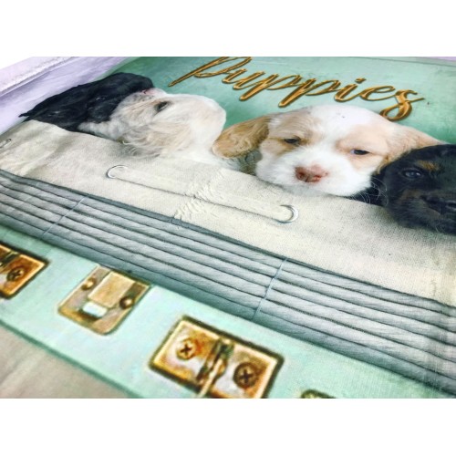 MANTA POLAR A CUADROS SHERPA FOTOGRAFÍA DIGITAL PERROS EN MALETA CON ALMOHADA Decor